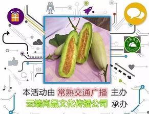 白羊角瓜怎么吃 第2张 白羊角瓜怎么吃 第2张